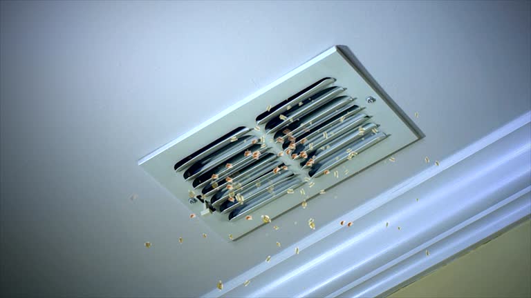 Best Ductwork Cleaning Services  in North Muskegon, MI