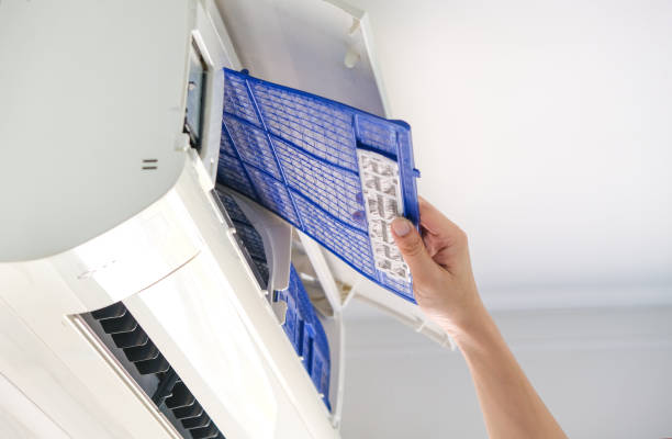 Best Air Duct Mold Removal  in North Muskegon, MI